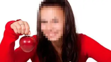Photo of Comment censurer des objets ou des visages de personnes dans Premiere Pro