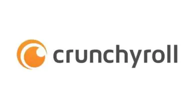 Photo of Quels films et séries animées sont sur Crunchyroll?