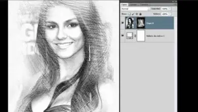 Photo of Comment créer l’effet de dessin au crayon d’une photo dans Photoshop