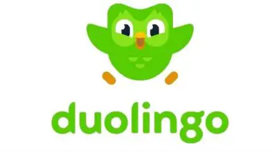 Photo of Qu’est-ce que Duolingo Plus? – Connaître tous les avantages et bénéfices