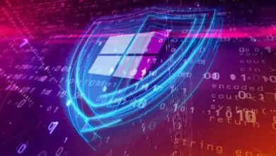 Foto de Como habilitar a proteção contra violação de segurança no Windows 10?