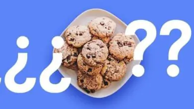 Photo of Que sont-ils, à quoi servent les cookies et comment fonctionnent-ils sur les pages Web?