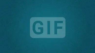 Photo of Comment créer des GIF animés dans Canva pro et les insérer dans Giphy?