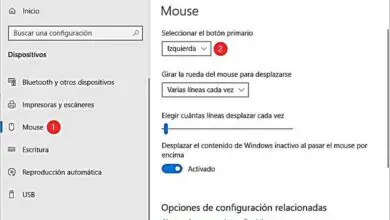 Photo of Comment configurer la souris ou la souris pour les gauchers sur mon PC