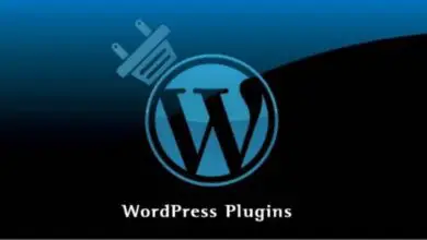 Photo of How to put an hit counter in WordPress - Plugins