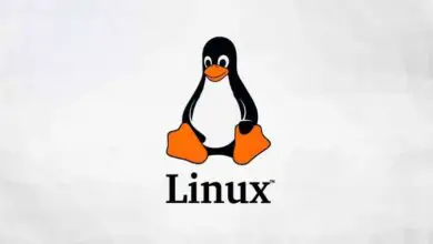 Photo of Comment supprimer définitivement tous les fichiers en toute sécurité sous Linux?