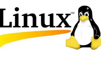 Photo of Pourquoi Linux et Mac sont-ils plus sûrs et plus rapides que Windows? – Tableau comparatif