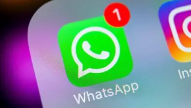 Foto di Come cambiare il tono delle notifiche o dei messaggi di WhatsApp su iPhone