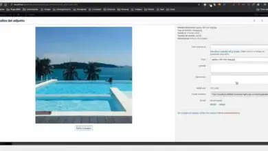 Photo of Comment optimiser les images téléchargées dans WordPress à l’aide du plugin wp Smush