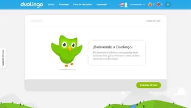 Photo of Comment obtenir 100% sur Duolingo? – Comment gagner le maximum d’expérience sur Duolingo?