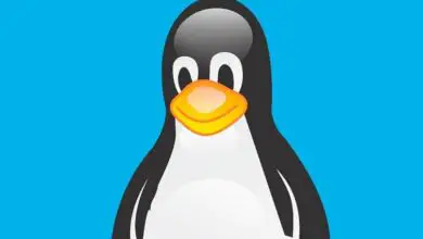 Foto de Como renomear facilmente arquivos no Linux com linha de comando?