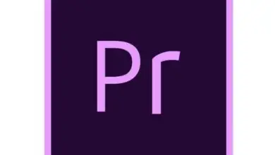 Foto van het maken of creëren van een Wiggle-teksteffect in Adobe Premiere