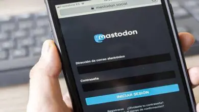 Foto di Cos'è Mastodon e come funziona? Come registrarsi su questo social network