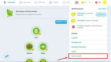 Photo of Comment me connecter ou me déconnecter de mon compte Duolingo? – Pas à pas