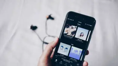 Photo of Combien de données ou mégaoctets Spotify Premium consomme-t-il lors de l’écoute de musique depuis votre mobile?