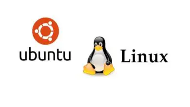 Foto van Hoe Curlew Multimedia Converter voor Ubuntu te installeren? - Snel en gemakkelijk