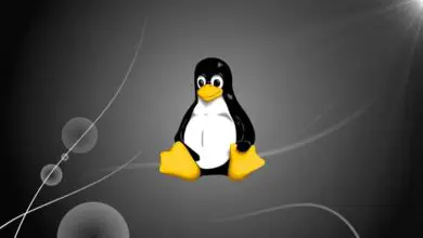 Foto van het tonen van verborgen bestanden in Linux Terminal