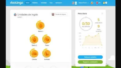 Photo of Que signifie ou qu’est-ce que l’EXP ou les points d’expérience sur Duolingo? Pourquoi est-ce?