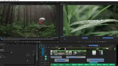 Photo of How to Center Images in Adobe Premiere Pro - Quick and Easy