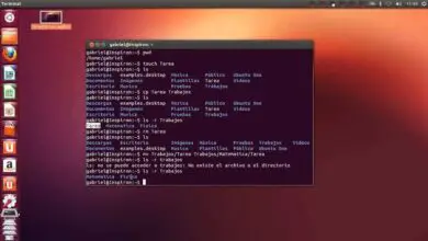 Foto de como exibir a data de criação de um arquivo no Linux