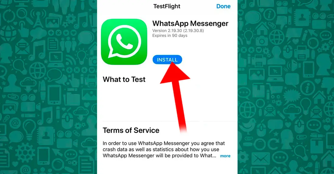 Comment devenir bêta-testeur WhatsApp sur votre mobile iOS ou Android