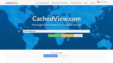 Photo of Cache stocké d’un site Web : options pour voir un site en panne