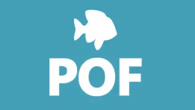 Photo of POF (beaucoup de poisson)