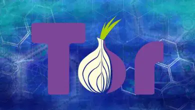 Photo of I2P vs Tor : connaître les principales différences