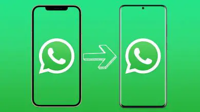 Photo of WhatsApp: Vous n’aurez plus besoin d’outils ni de programmes externes pour déplacer l’iPhone sur Android Chats